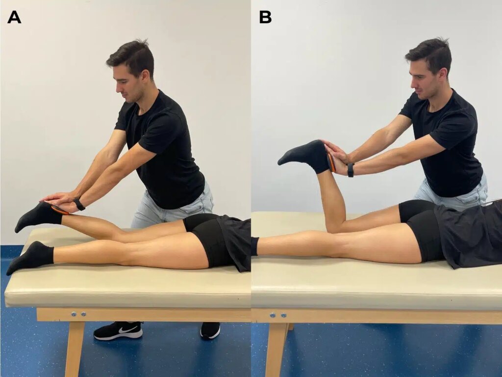 legamento crociato anteriore: test hamstring