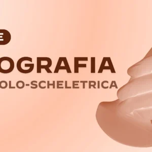 Base_Ecografia Muscolo-Scheletrica
