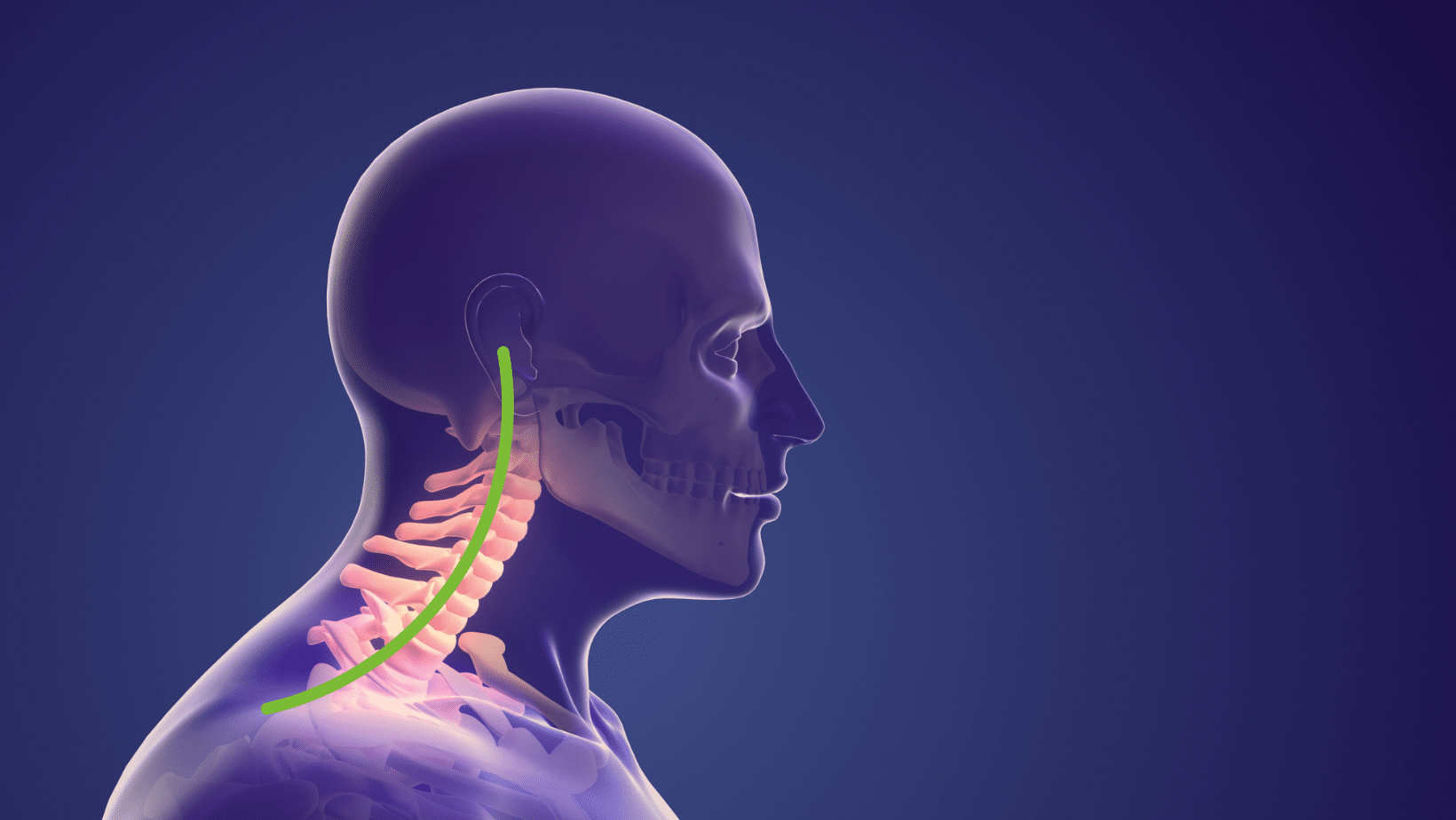 Claudicatio vascolare: fisioterapia