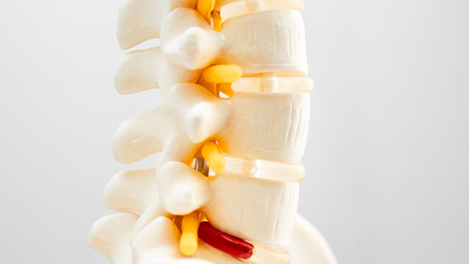 Low Back Pain in gravidanza: test