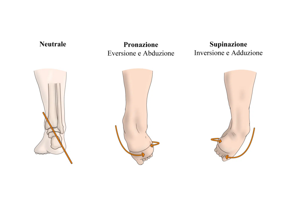 sindrome del cuboide: inversione e eversione