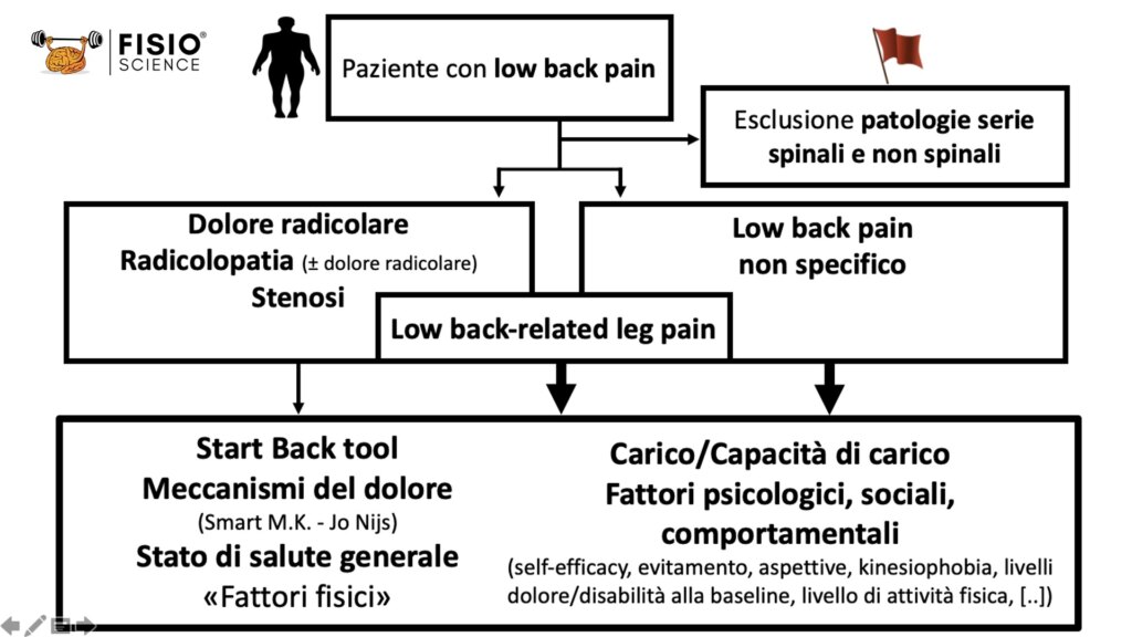 lower back pain