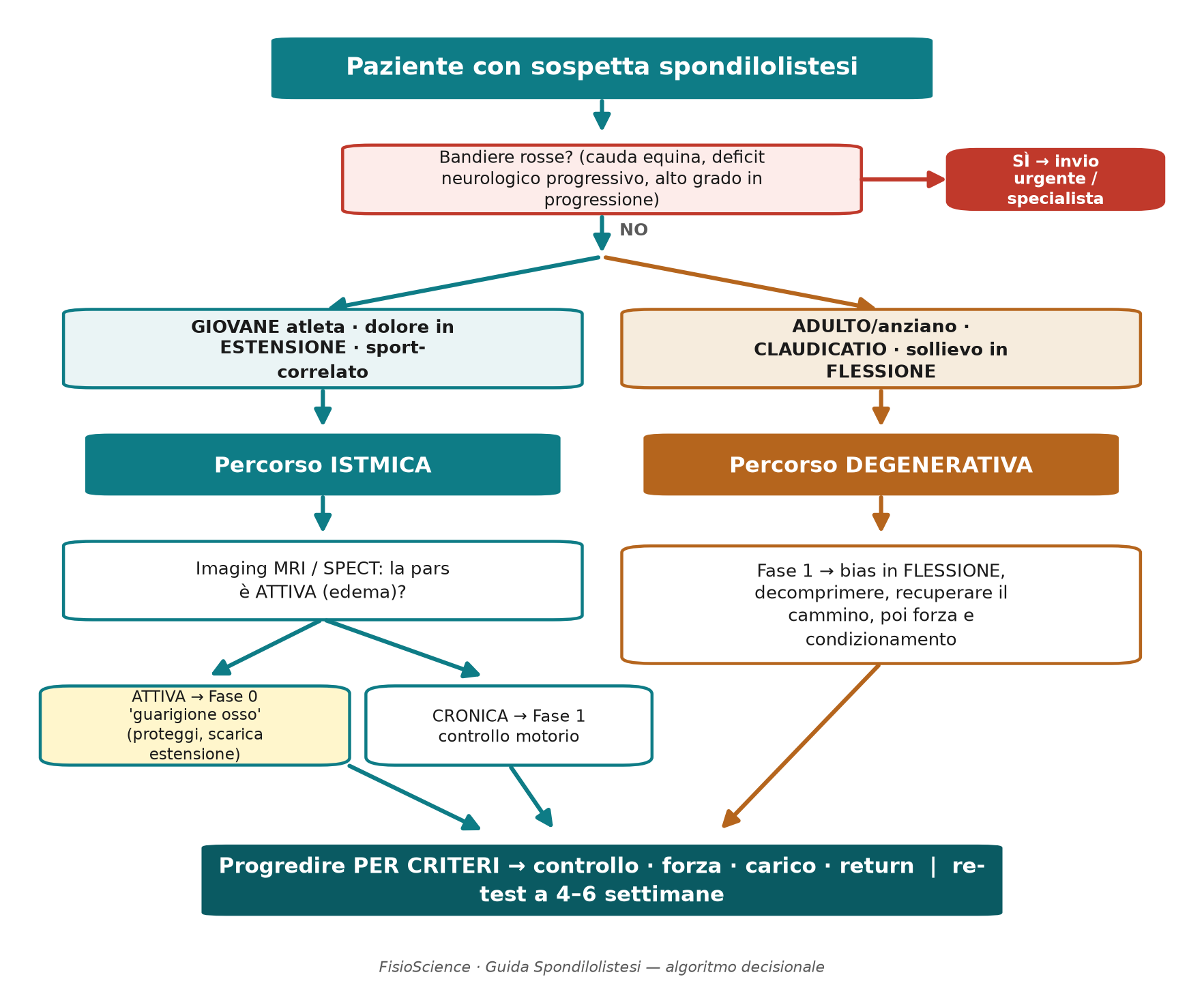 Algoritmo decisionale: dal triage al sottotipo, fino alla fase di partenza