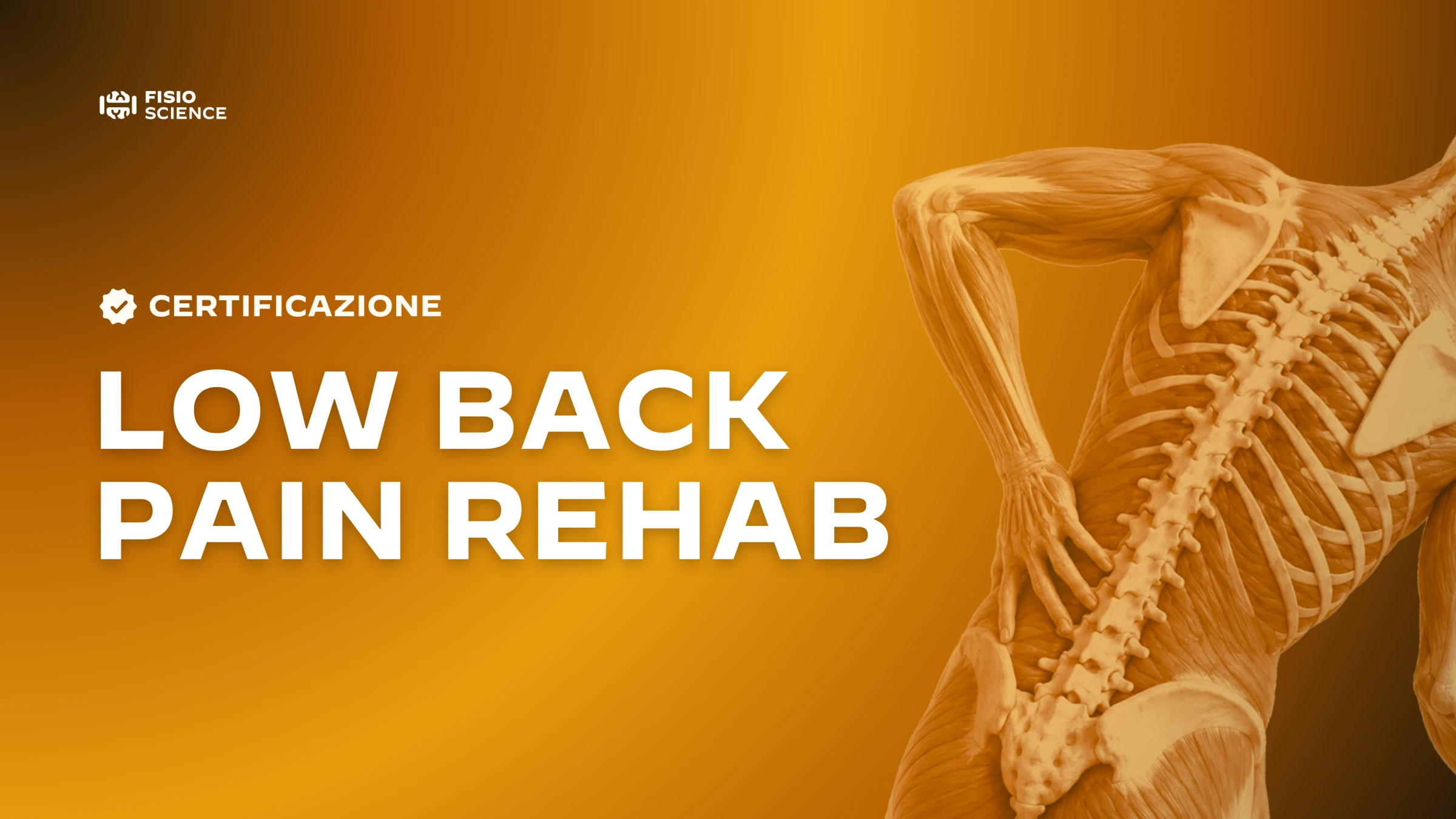 Certificazione Low Back Pain Rehab FisioScience