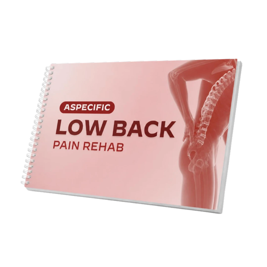 Mockup 3D delle slide rilegate a spirale del corso Aspecific Low Back Pain Rehab
