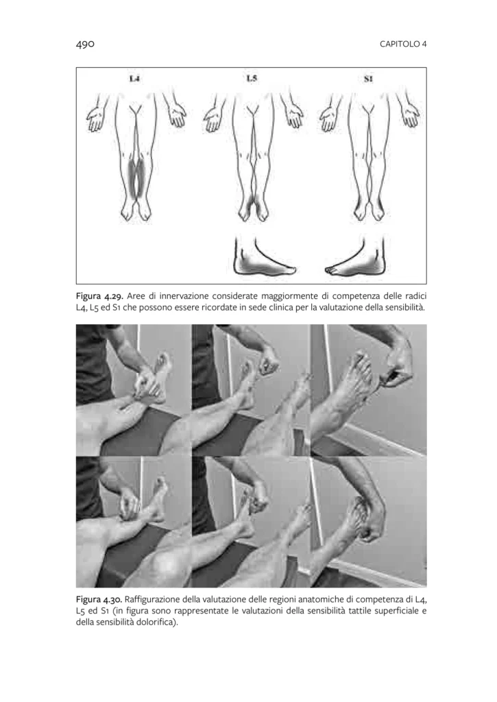 Pagina del libro Dalla Sciatica al Mal di Schiena - Dermatomi L4 L5 S1
