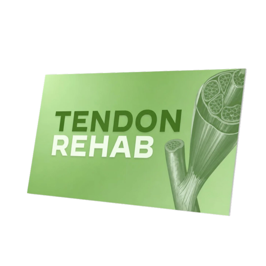 Mockup 3D dell'attestato di partecipazione del corso Tendon Rehab