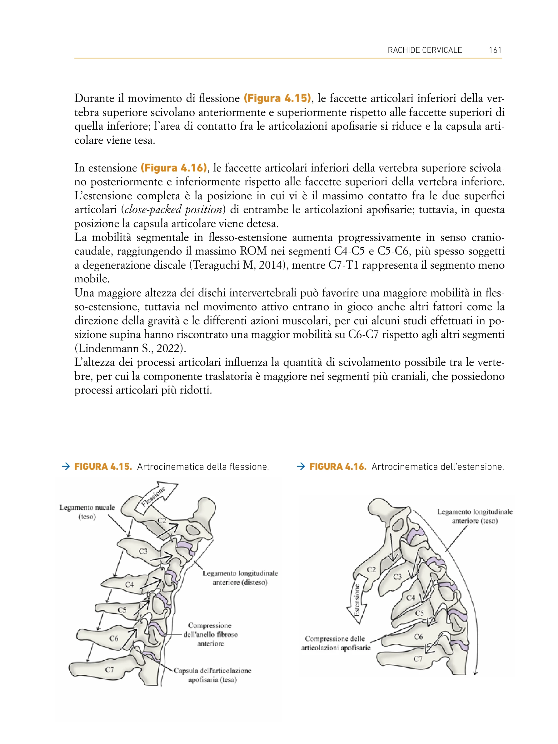 Pagina del libro Valutazione Muscoloscheletrica Quadrante Superiore - Artrocinematica flessione ed estensione cervicale