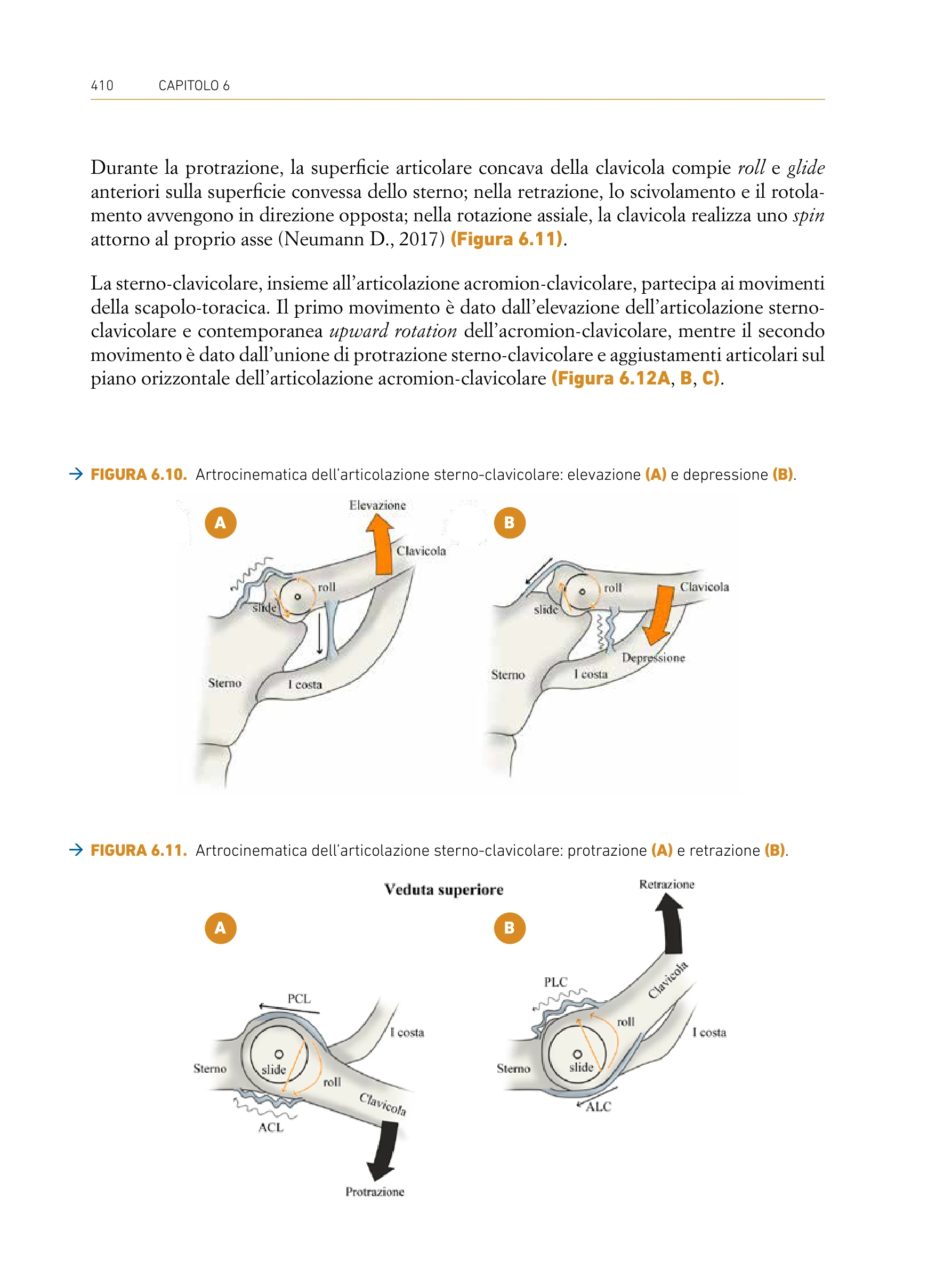 Pagina del libro Valutazione Muscoloscheletrica Quadrante Superiore - Artrocinematica dell'articolazione sterno-clavicolare