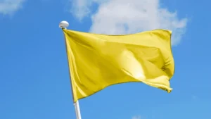 Yellow flags in fisioterapia - strategie pratiche di trattamento